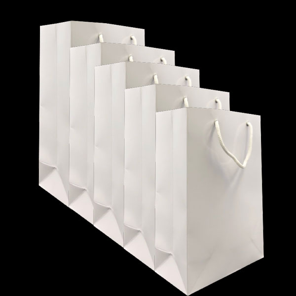 Combo 5 túi giấy Vinanetco trắng IT07 (30 x 21 x10)