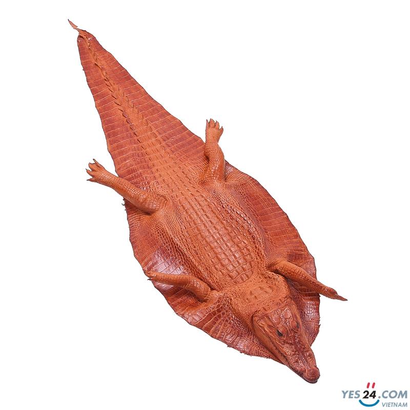 Da thuộc da cá sấu nguyên con có đầu màu vàng - HH1253